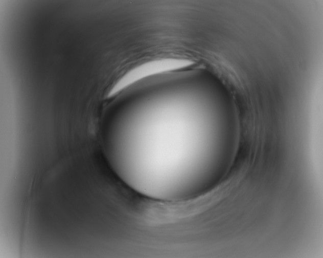 X0000092050033200709262017