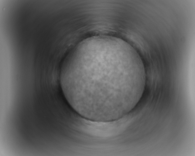 X0000092050034200709262017