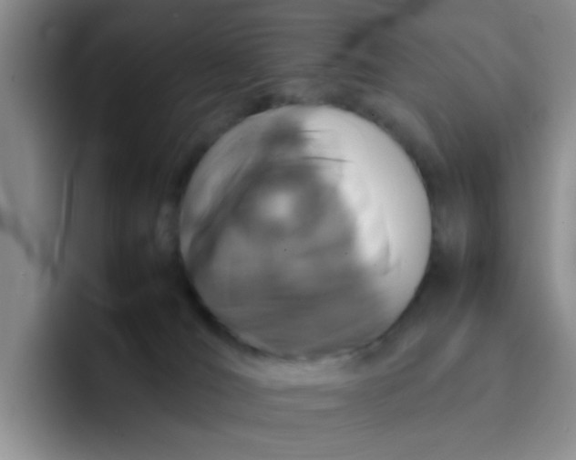 X0000092050036200709262017