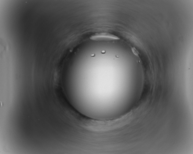 X0000092050037200709262017