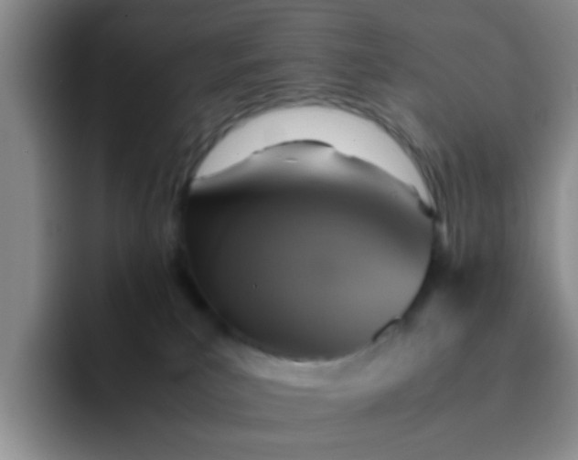 X0000092050039200709262017