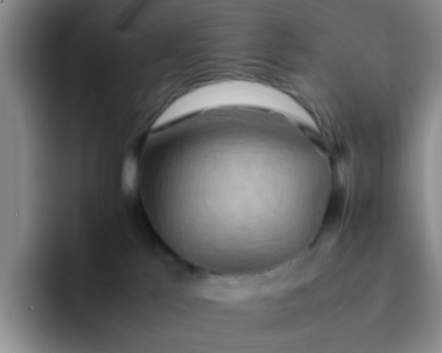 X0000092050041200709262017