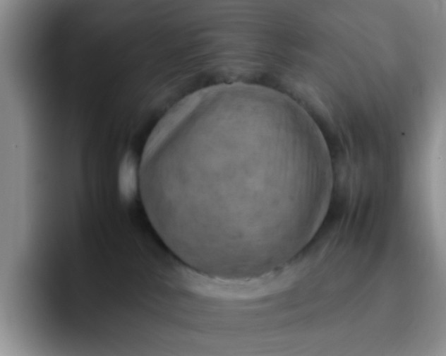 X0000092050042200709262017