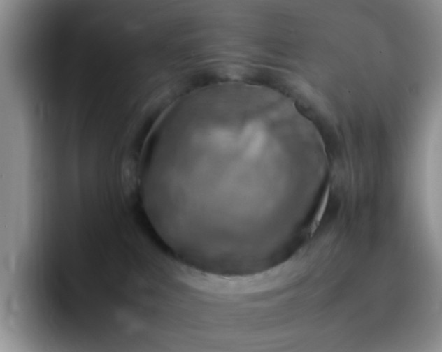 X0000092050043200709262017