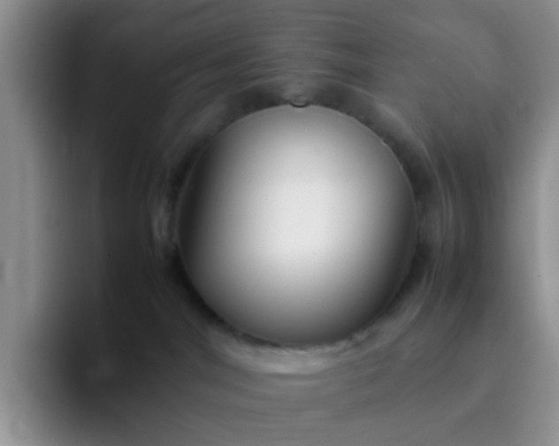 X0000092050044200709262017