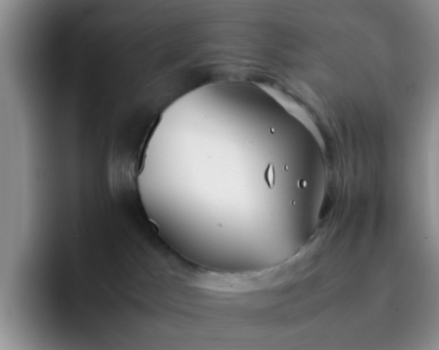 X0000092050045200709262017