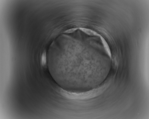 X0000092050046200709262017