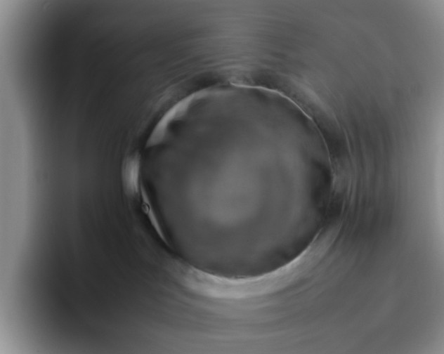 X0000092050047200709262017