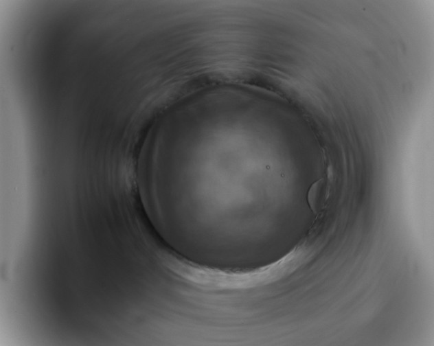 X0000092050048200709262017