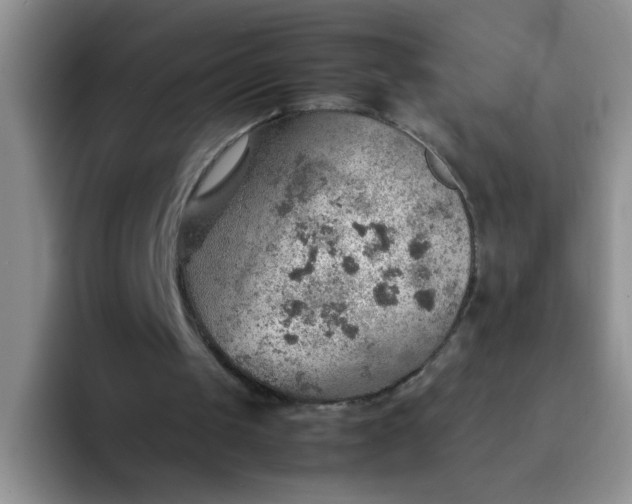 X0000092050049200709262017