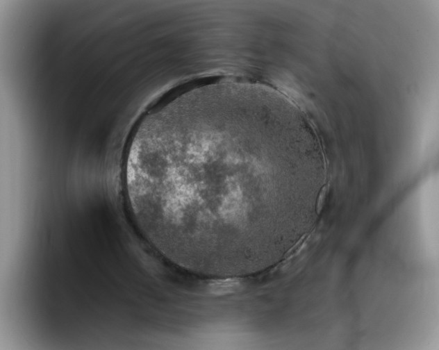 X0000092050050200709262017