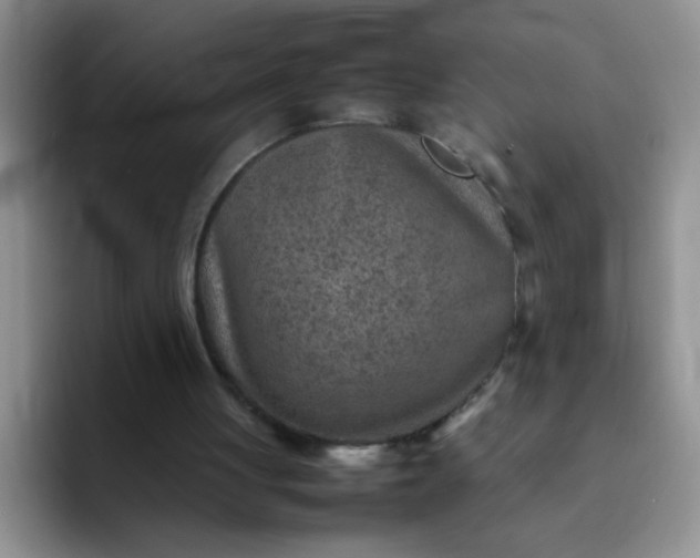 X0000092050051200709262017