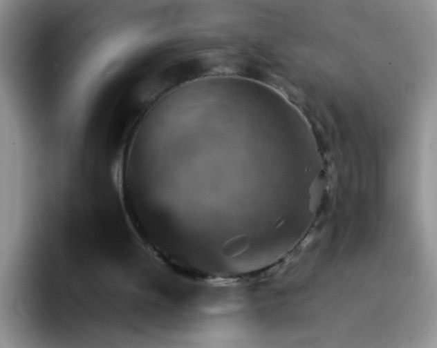 X0000092050052200709262017