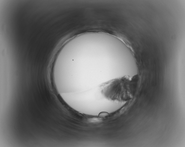 X0000092050053200709262017