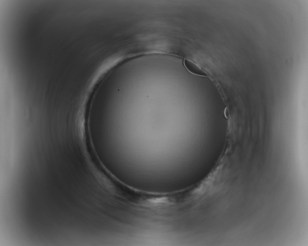 X0000092050054200709262017