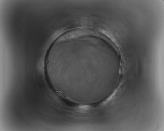 X0000092050055200709262017