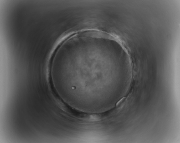 X0000092050056200709262017