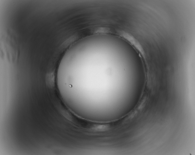 X0000092050057200709262017