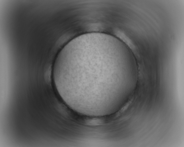 X0000092050058200709262017