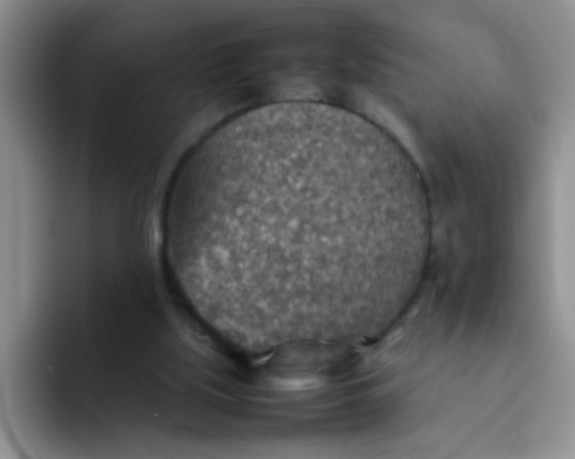 X0000092050059200709262017