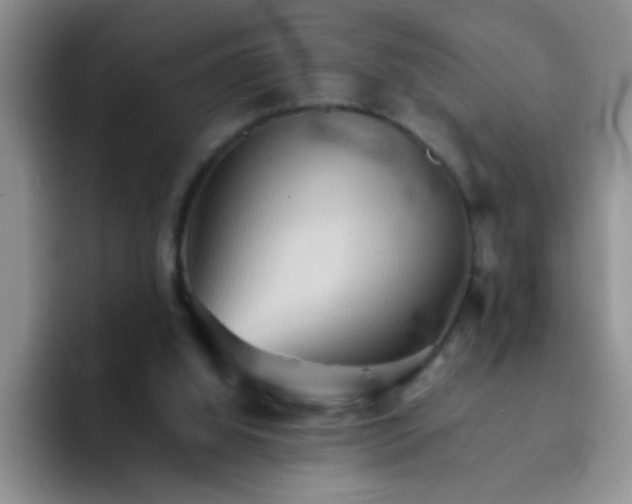 X0000092050060200709262017