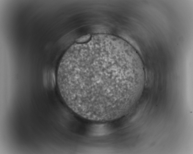 X0000092050061200709262017