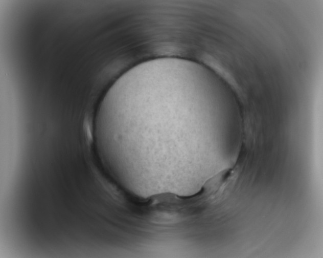 X0000092050062200709262017