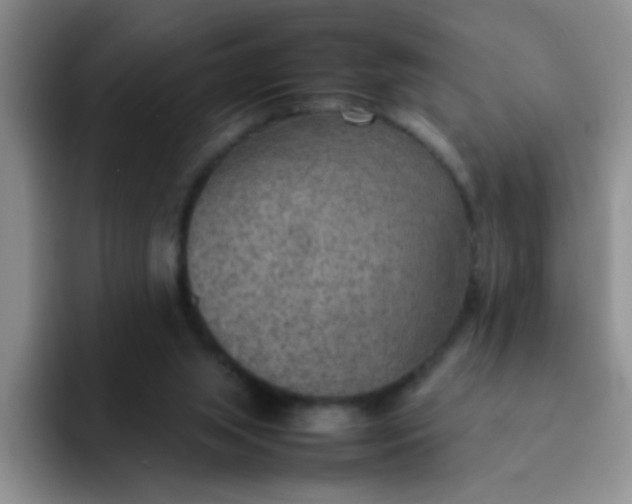 X0000092050063200709262017