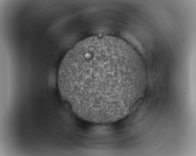 X0000092050065200709262017