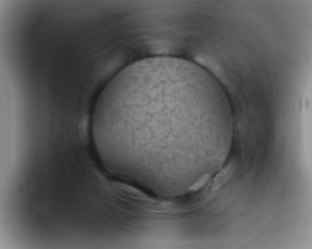 X0000092050066200709262017