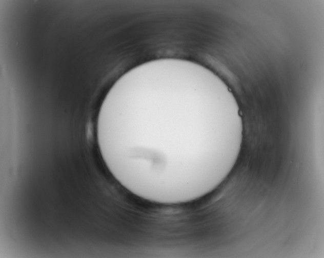 X0000092050067200709262017