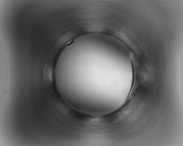 X0000092050068200709262017