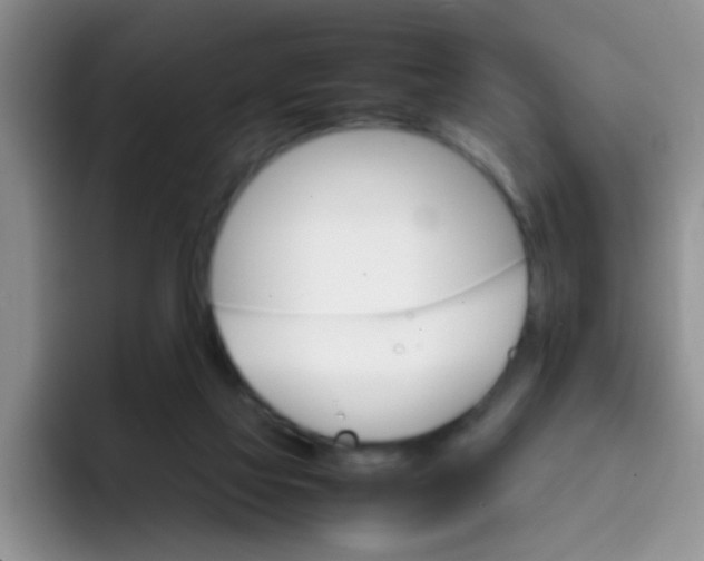 X0000092050069200709262017