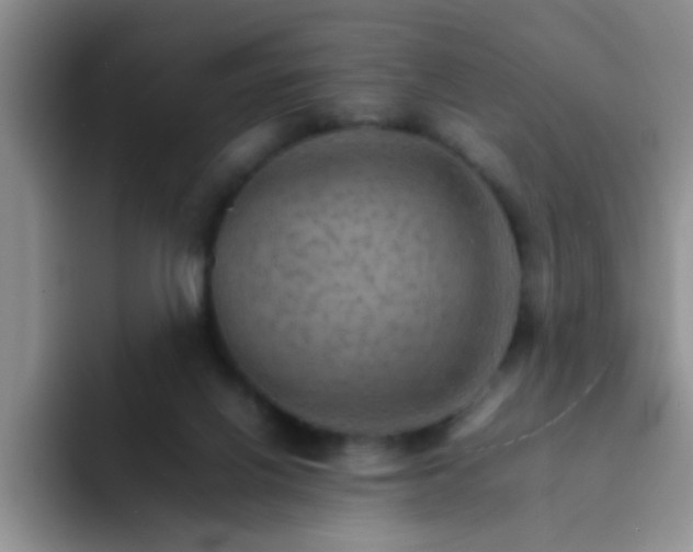 X0000092050070200709262017