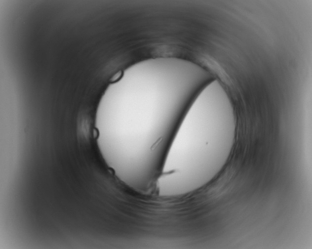 X0000092050071200709262017