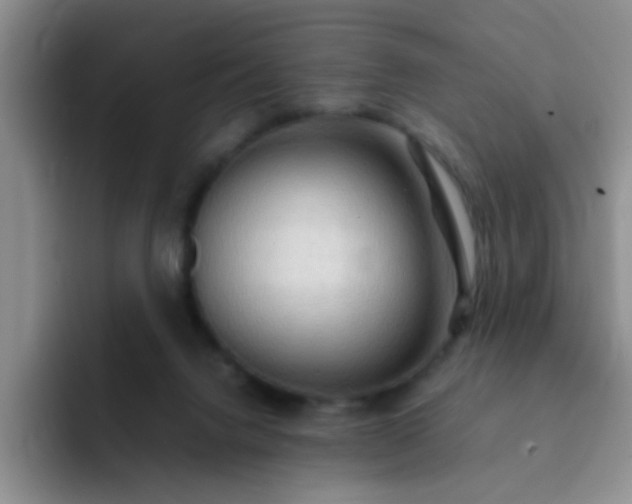 X0000092050072200709262017