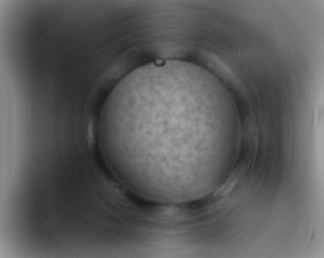 X0000092050074200709262017