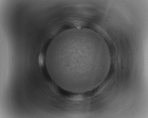 X0000092050075200709262017