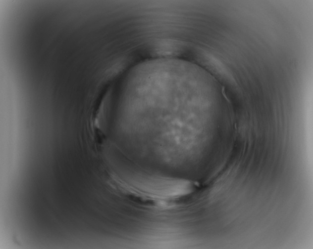 X0000092050076200709262017