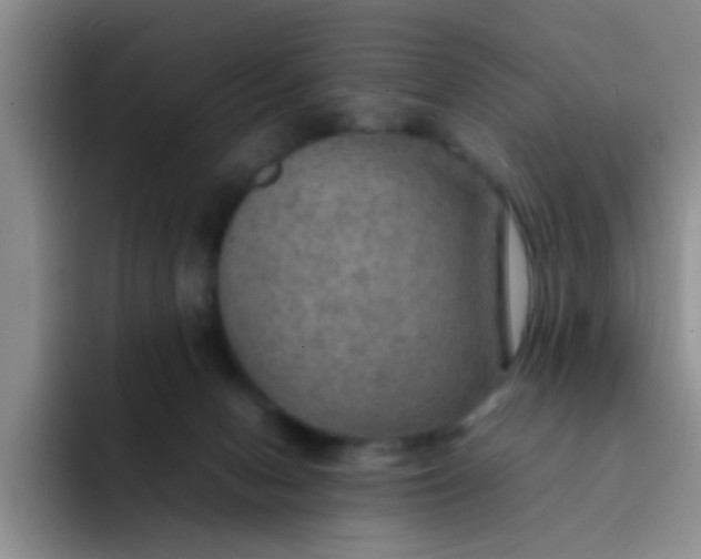 X0000092050078200709262017