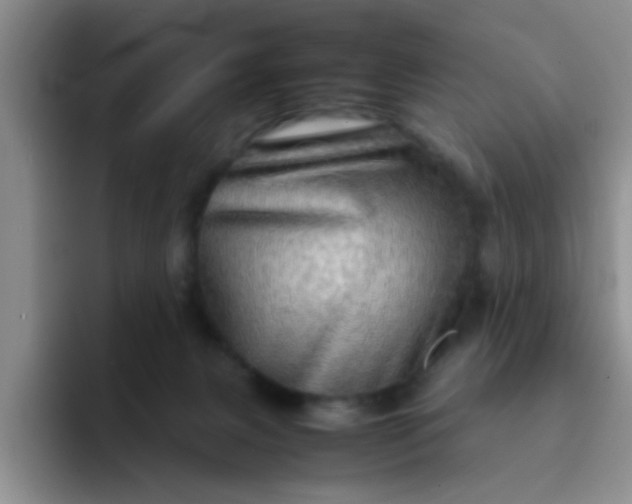 X0000092050079200709262017