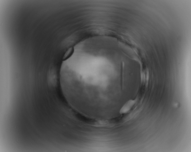 X0000092050080200709262017