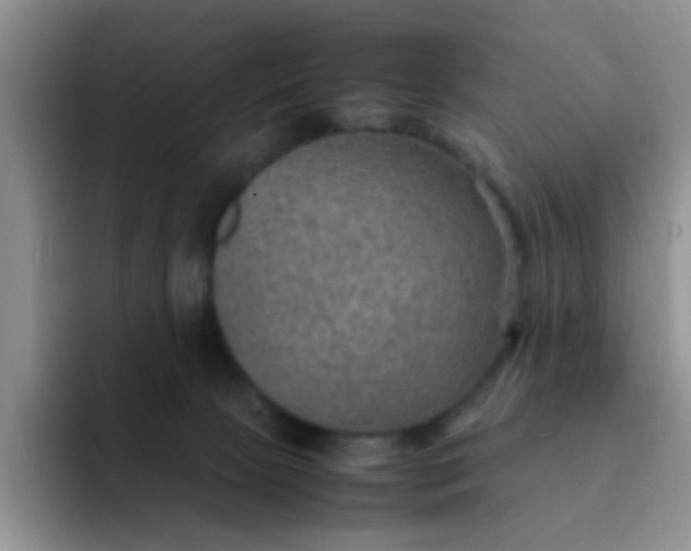 X0000092050081200709262017