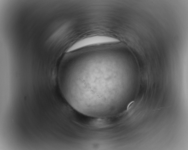 X0000092050082200709262017