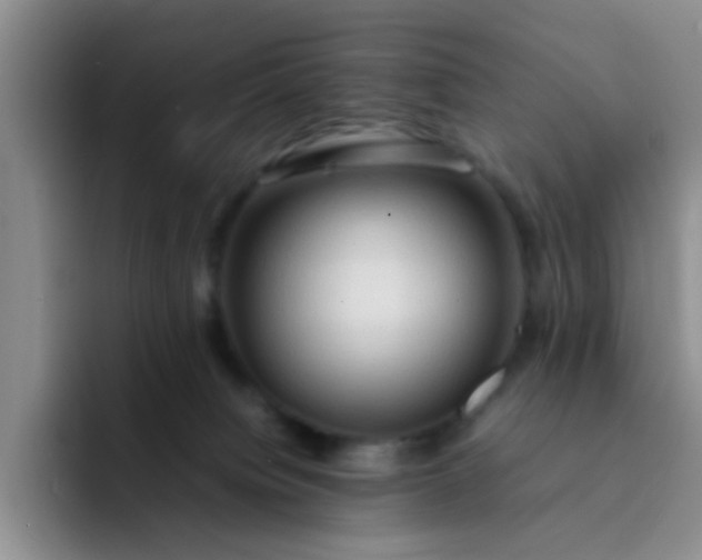 X0000092050084200709262017