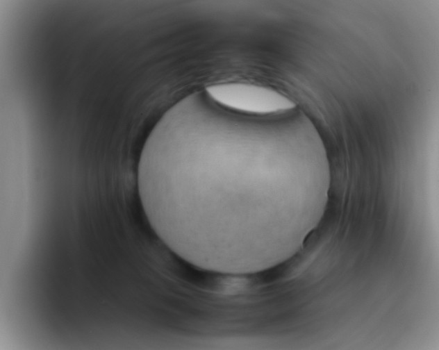 X0000092050085200709262017