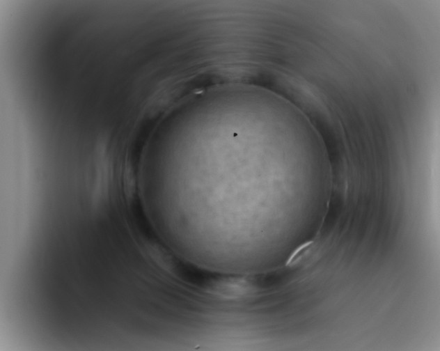 X0000092050086200709262017