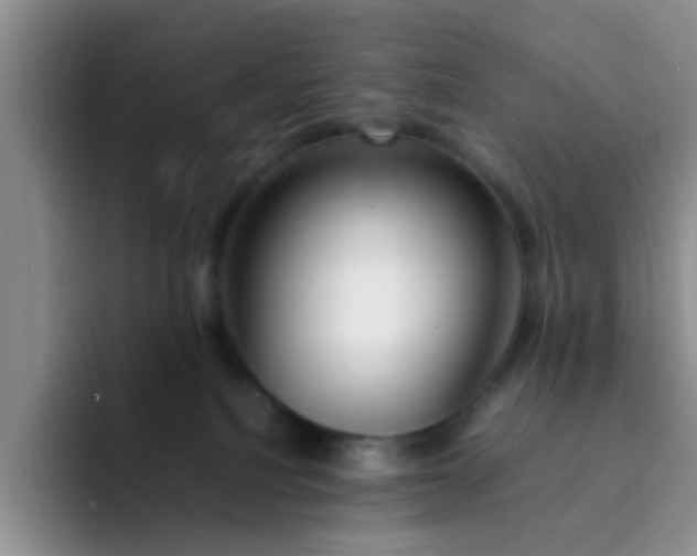 X0000092050088200709262017