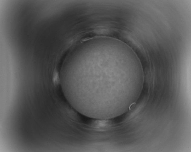 X0000092050089200709262017