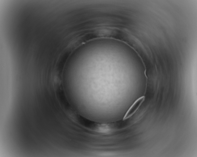 X0000092050091200709262017